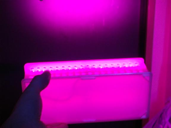 低価格ＬＥＤライト